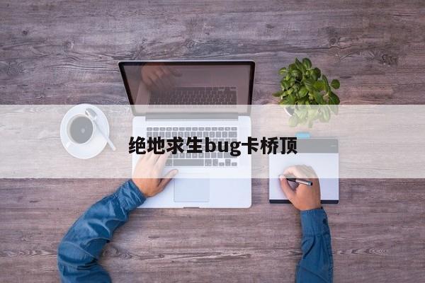 绝地求生bug卡桥顶