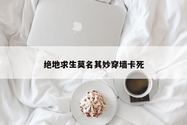 绝地求生莫名其妙穿墙卡死