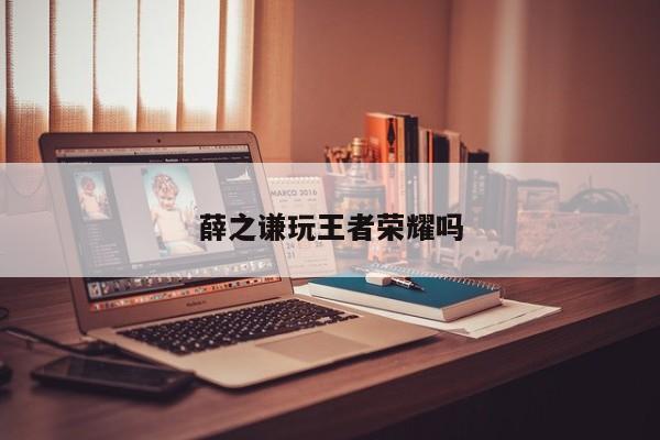 薛之谦玩王者荣耀吗