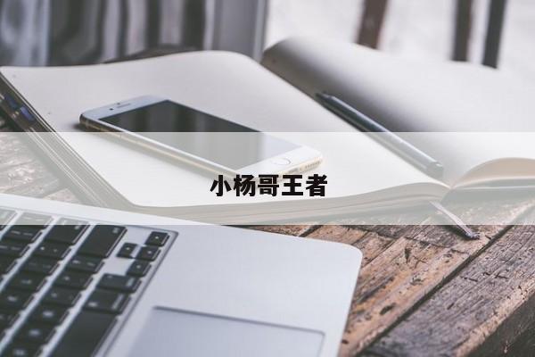 小杨哥王者