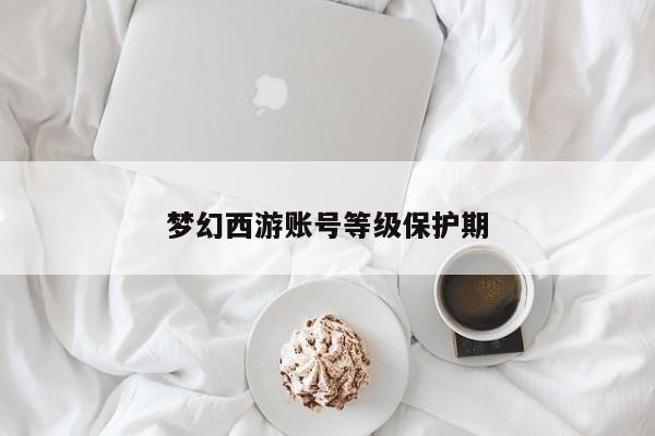 梦幻西游账号等级保护期