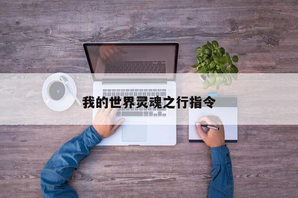 我的世界灵魂之行指令
